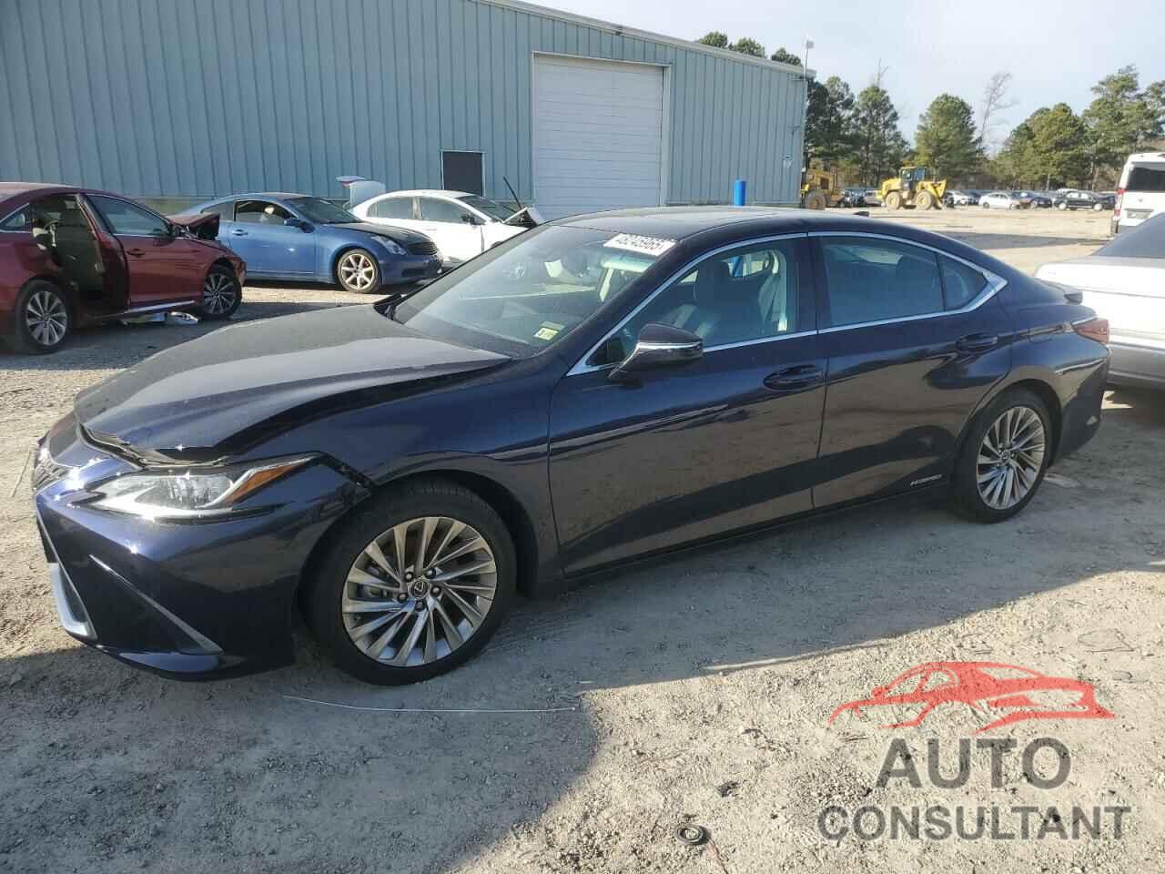 LEXUS ES300 2022 - 58AEA1C14NU017563