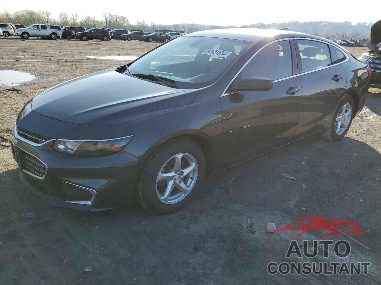 CHEVROLET MALIBU 2018 - 1G1ZB5ST0JF105036