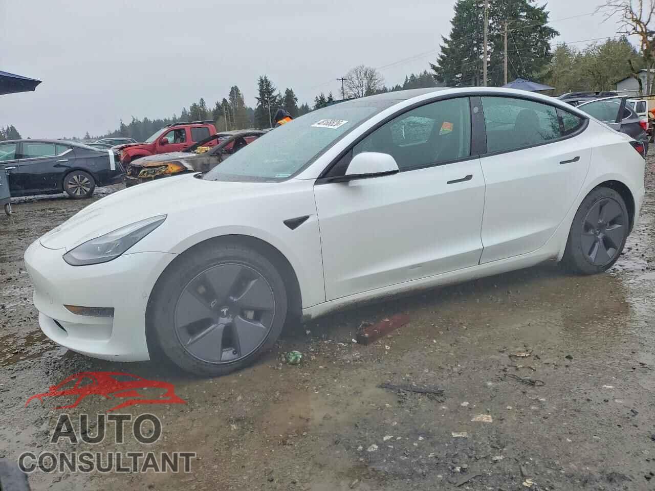 TESLA MODEL 3 2021 - 5YJ3E1EA3MF929936