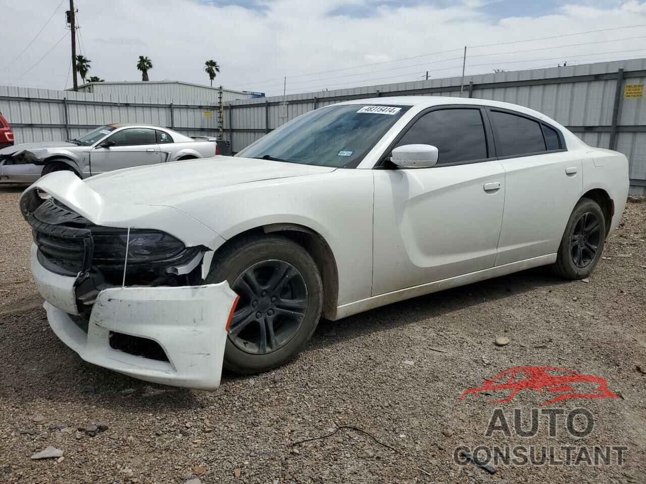 DODGE CHARGER 2019 - 2C3CDXBG7KH673035