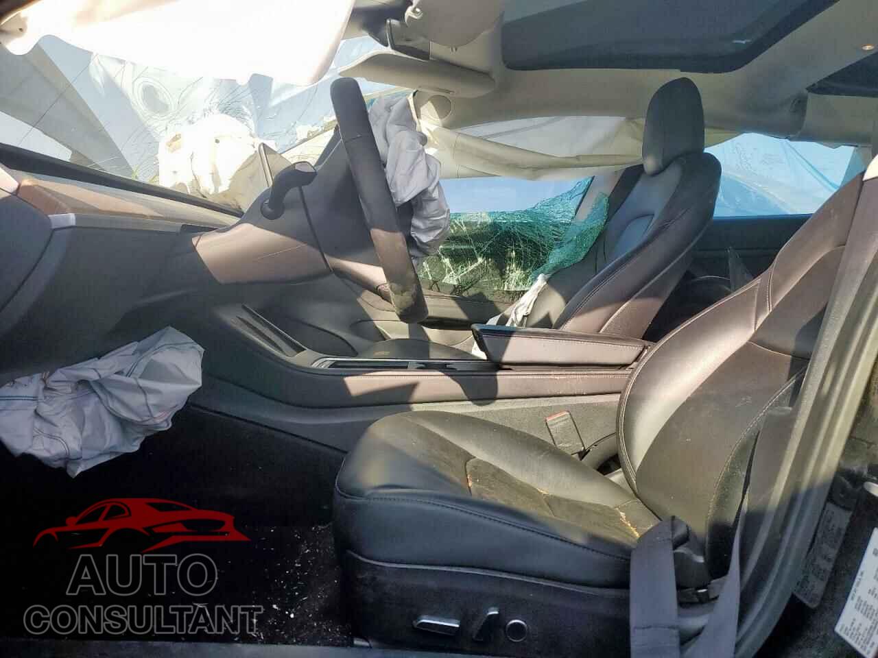 TESLA MODEL 3 2021 - 5YJ3E1EA2MF977007