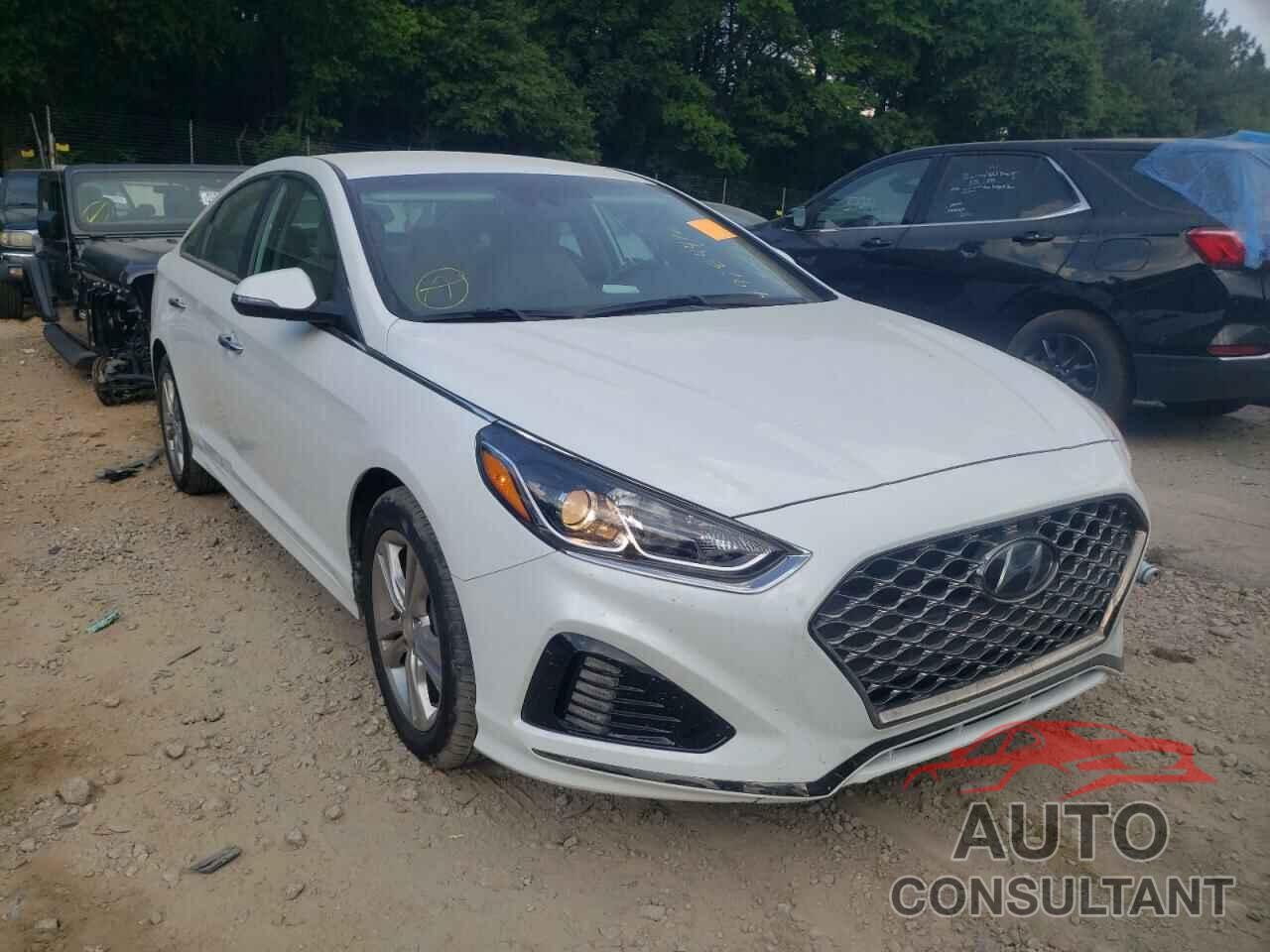 HYUNDAI SONATA 2019 - 5NPE34AF5KH790652