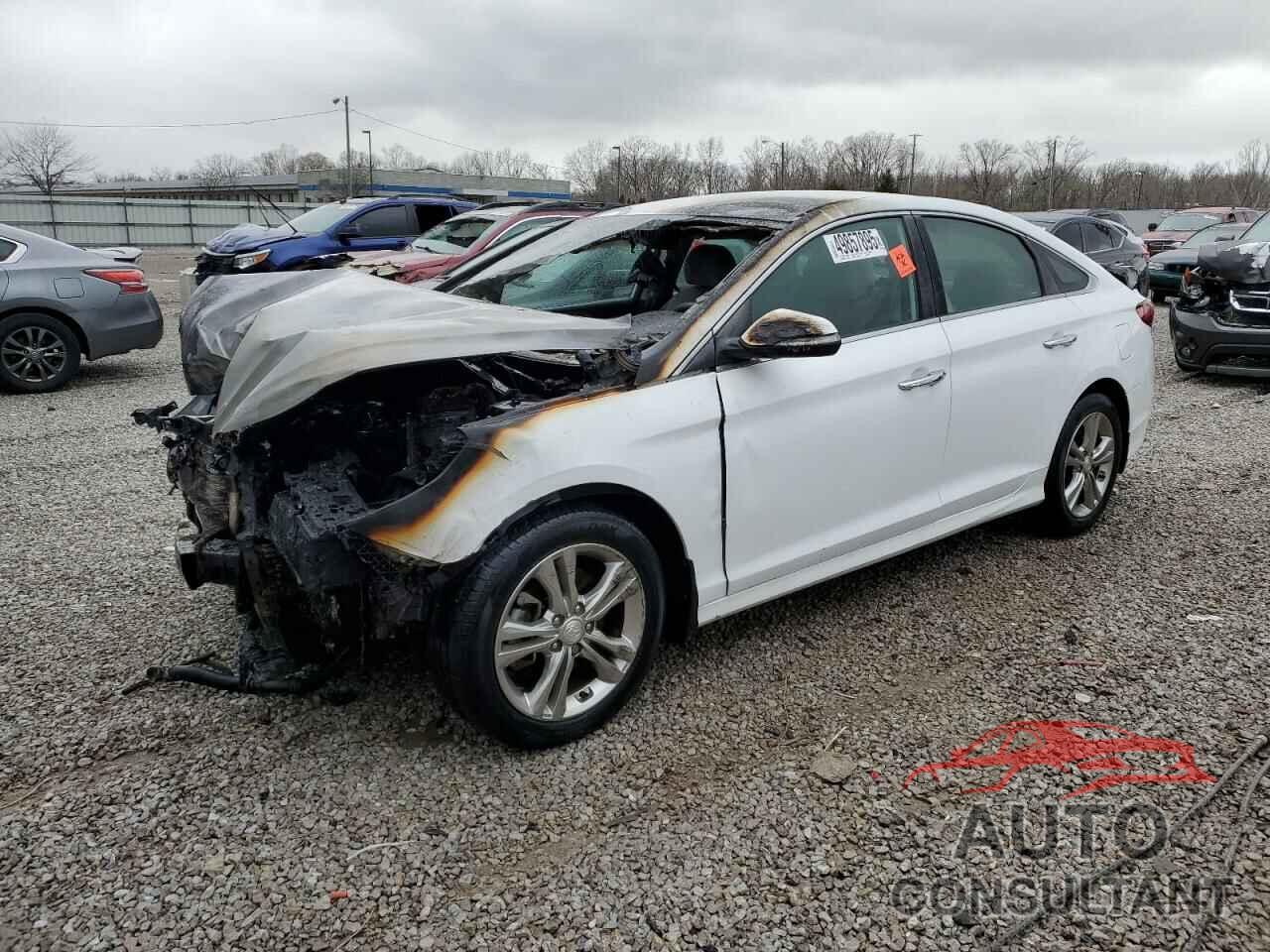 HYUNDAI SONATA 2019 - 5NPE34AF1KH762699