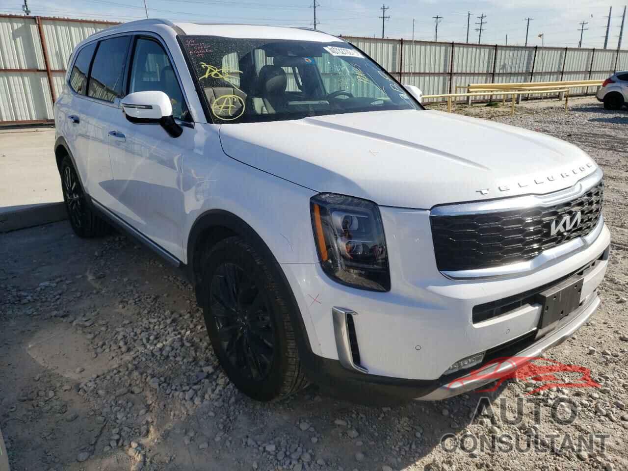 KIA TELLURIDE 2022 - 5XYP5DHC3NG199410