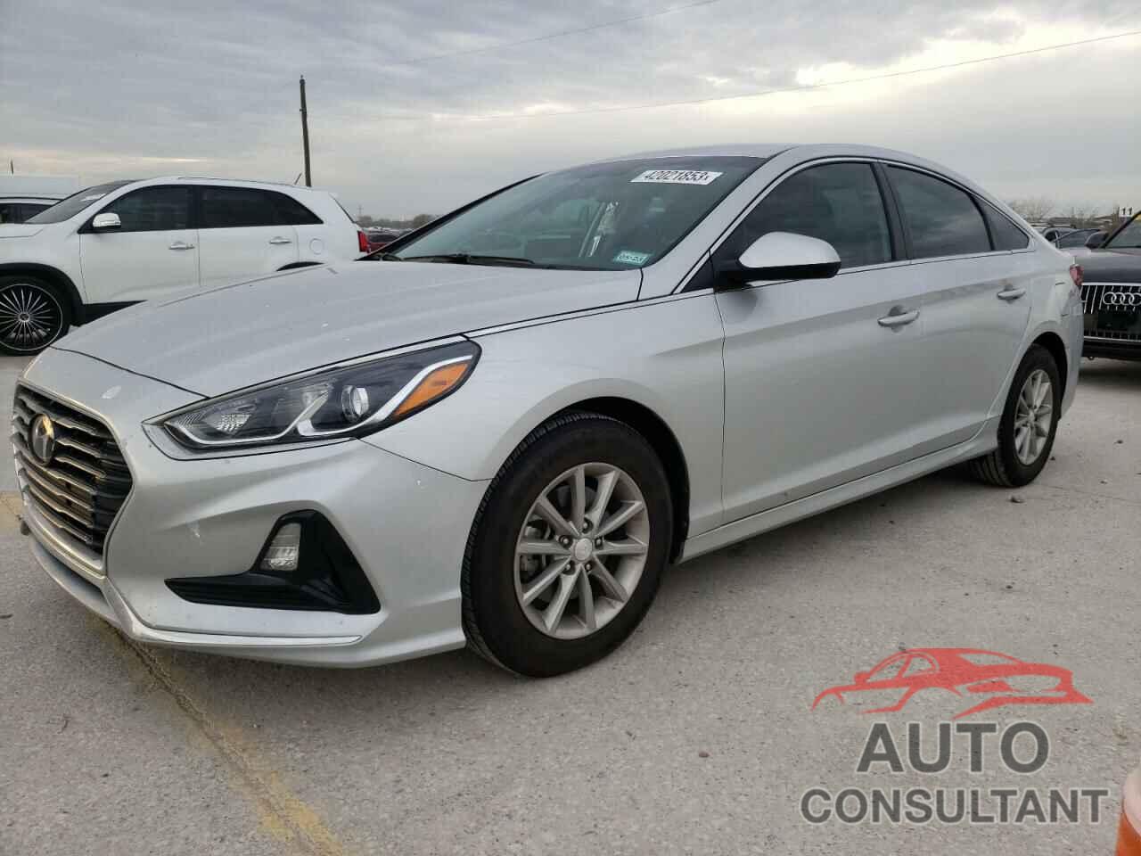 HYUNDAI SONATA 2019 - 5NPE24AF5KH749344