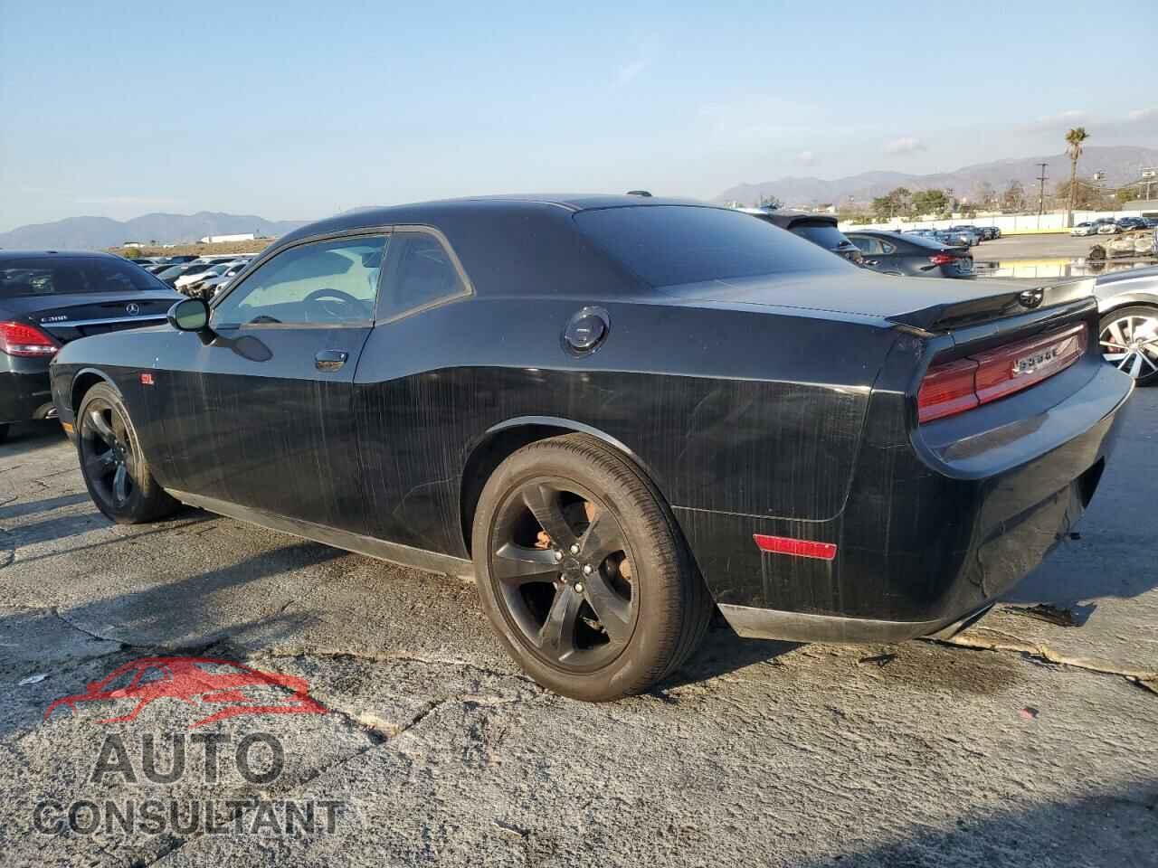 DODGE CHALLENGER 2013 - 2C3CDYBT5DH670317