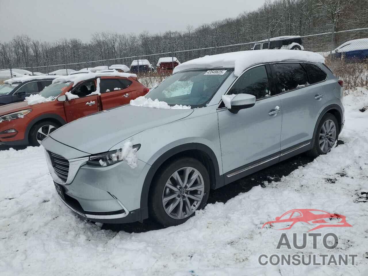 MAZDA CX-9 2023 - JM3TCBDY6P0645172