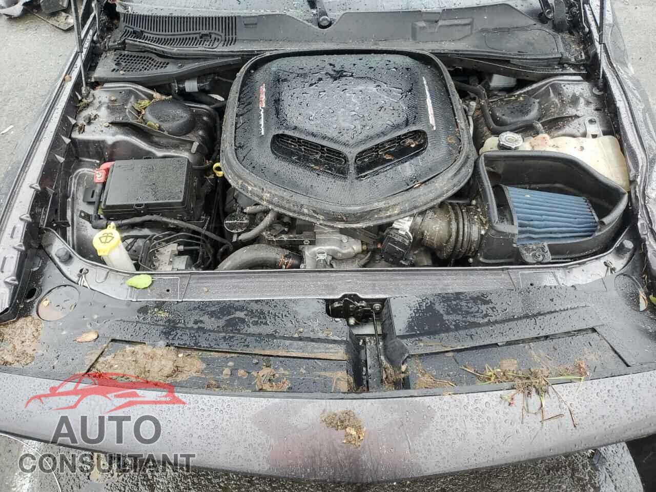 DODGE CHALLENGER 2021 - 2C3CDZFJ6MH538861