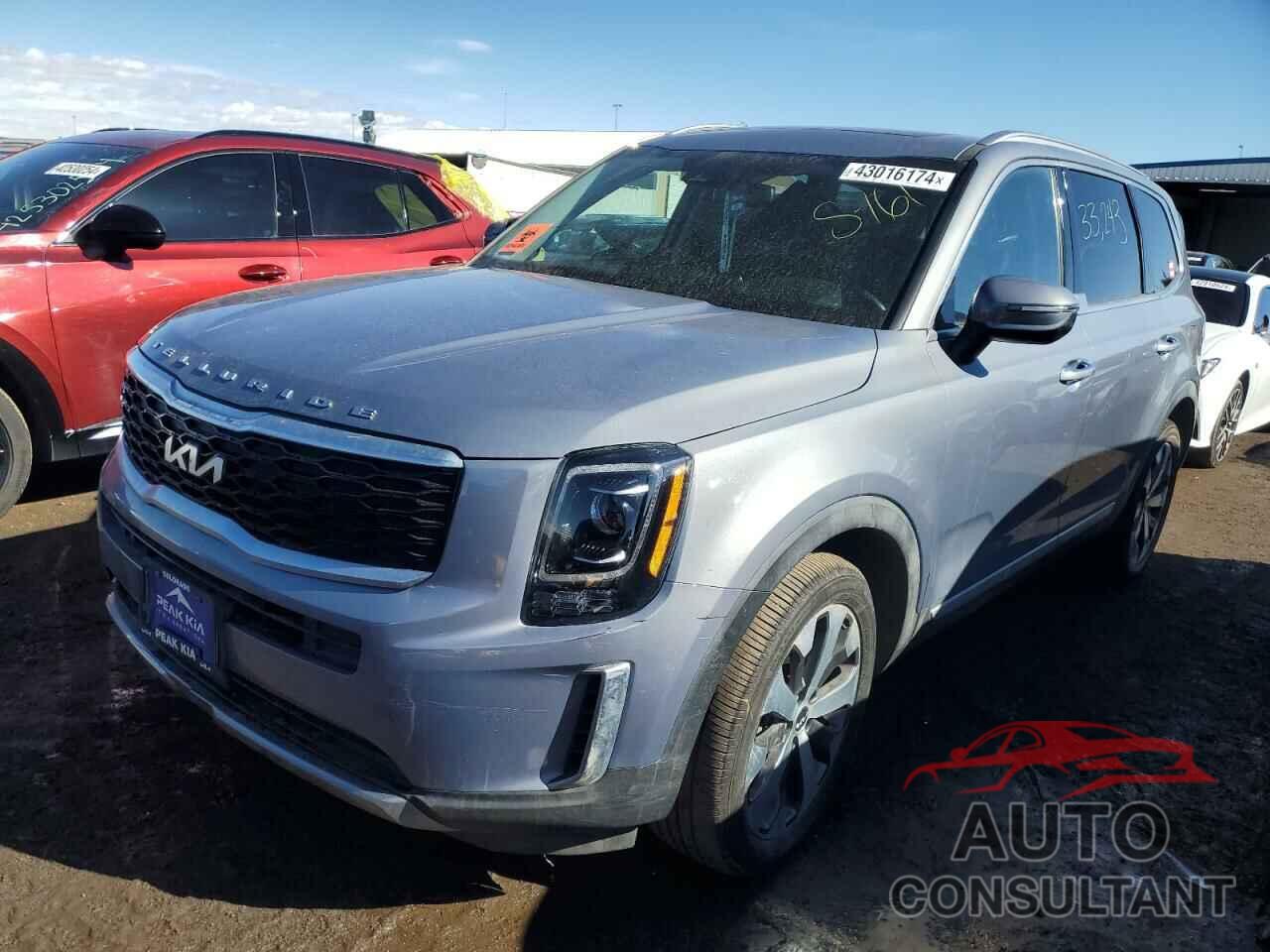 KIA TELLURIDE 2022 - 5XYP6DHC7NG256642