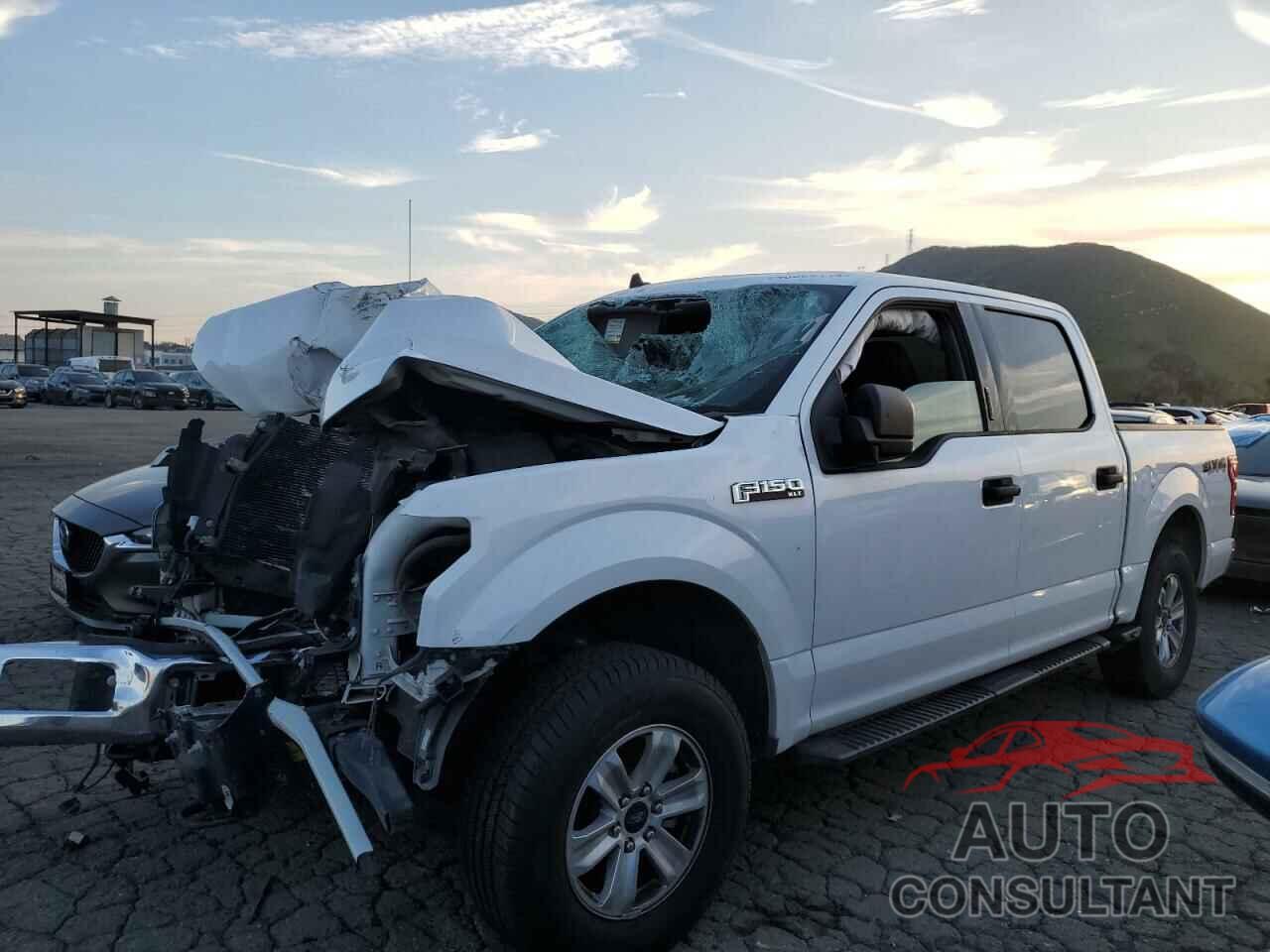 FORD F-150 2019 - 1FTEW1EP1KKD65634
