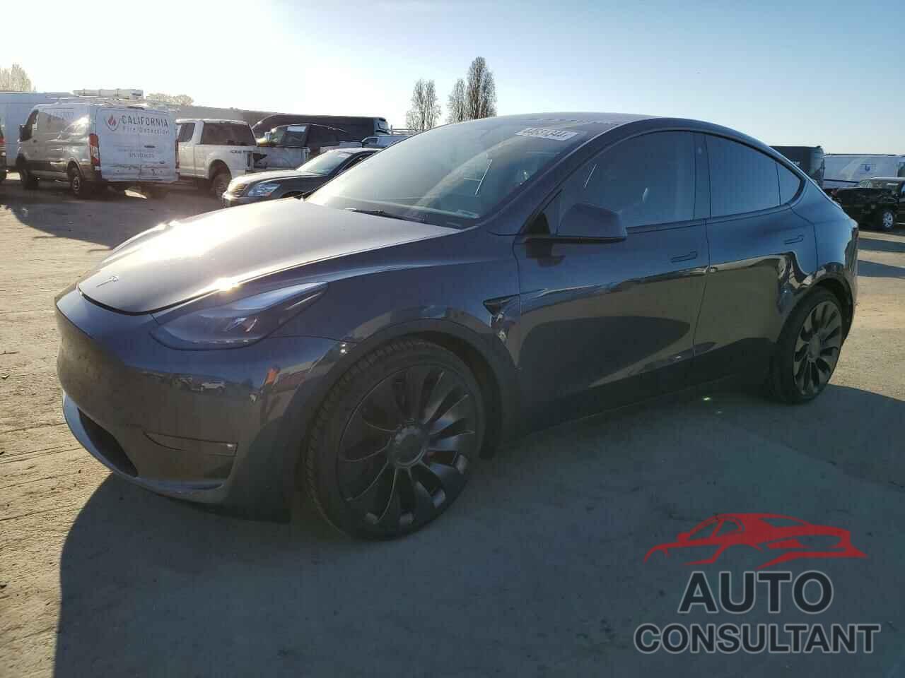 TESLA MODEL Y 2022 - 7SAYGDEF2NF330169