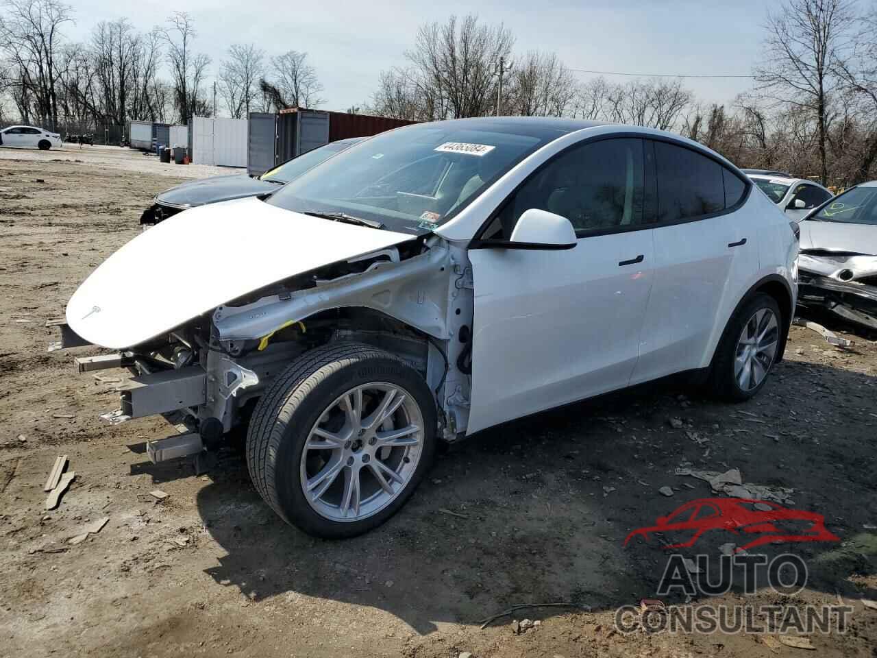 TESLA MODEL Y 2021 - 5YJYGDEE5MF233132