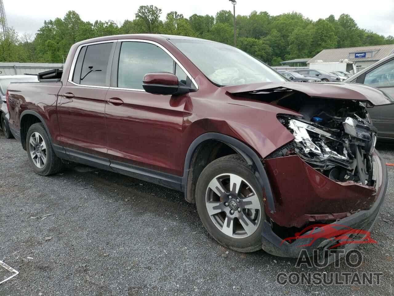 HONDA RIDGELINE 2019 - 5FPYK3F59KB033091