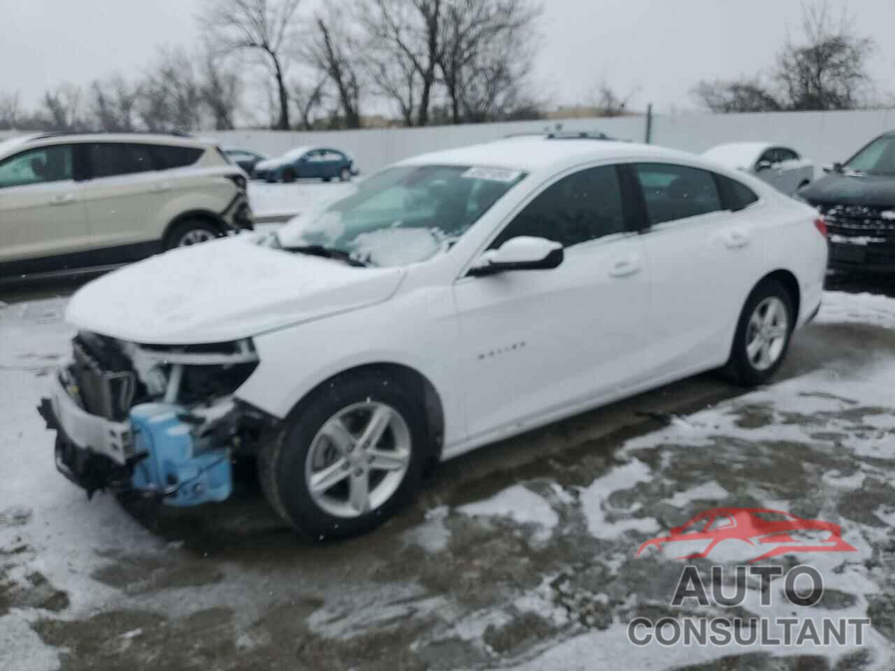 CHEVROLET MALIBU 2020 - 1G1ZC5ST8LF133859