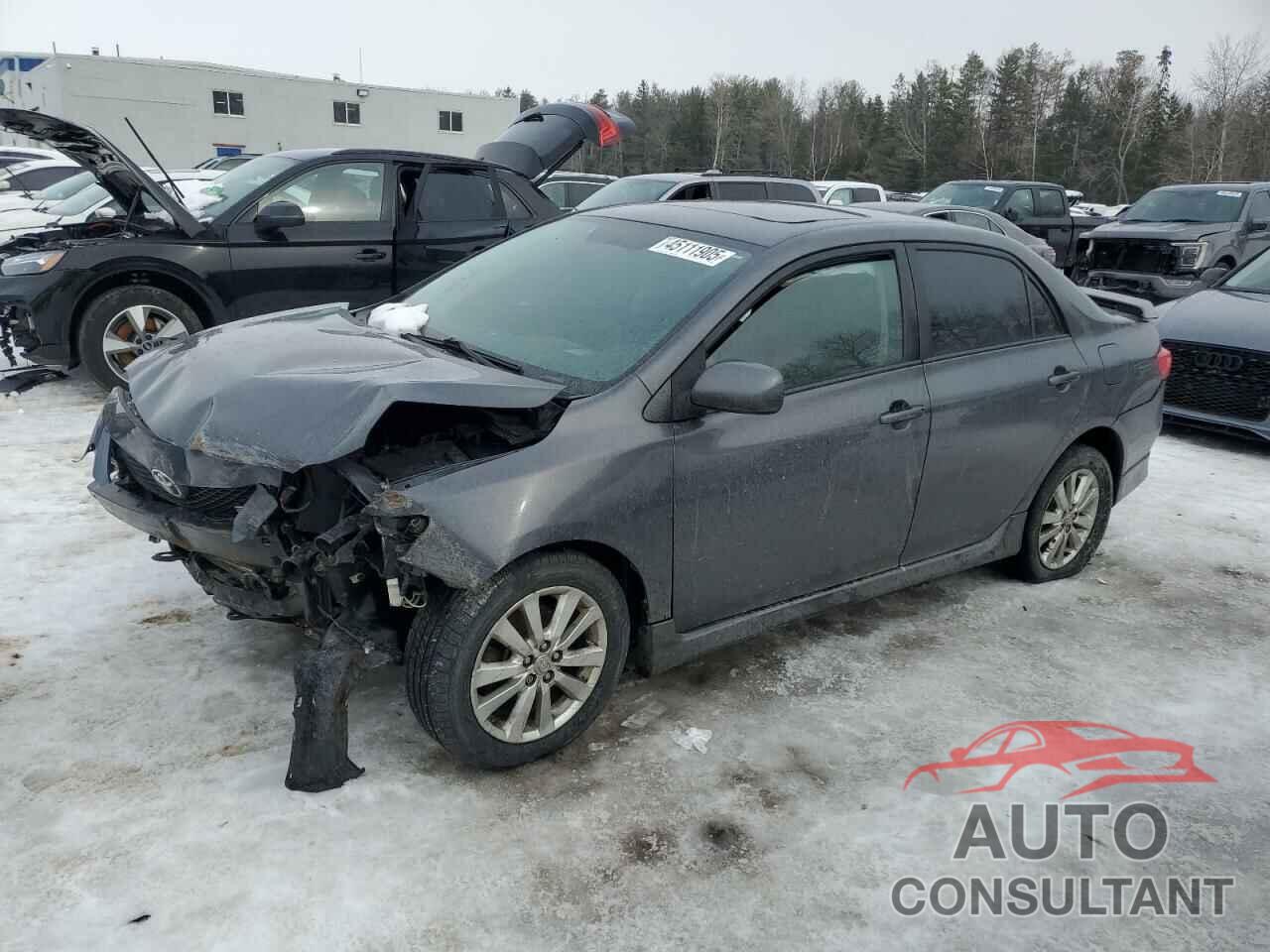 TOYOTA COROLLA 2009 - 2T1BU40E39C185759