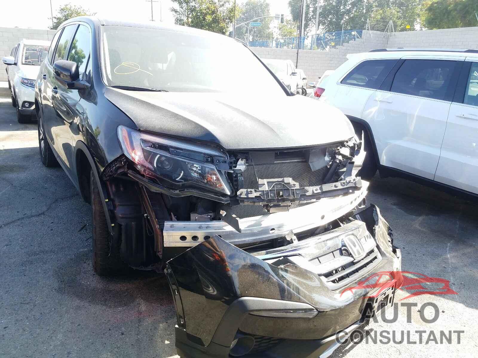 HONDA PILOT 2019 - 5FNYF6H53KB032675