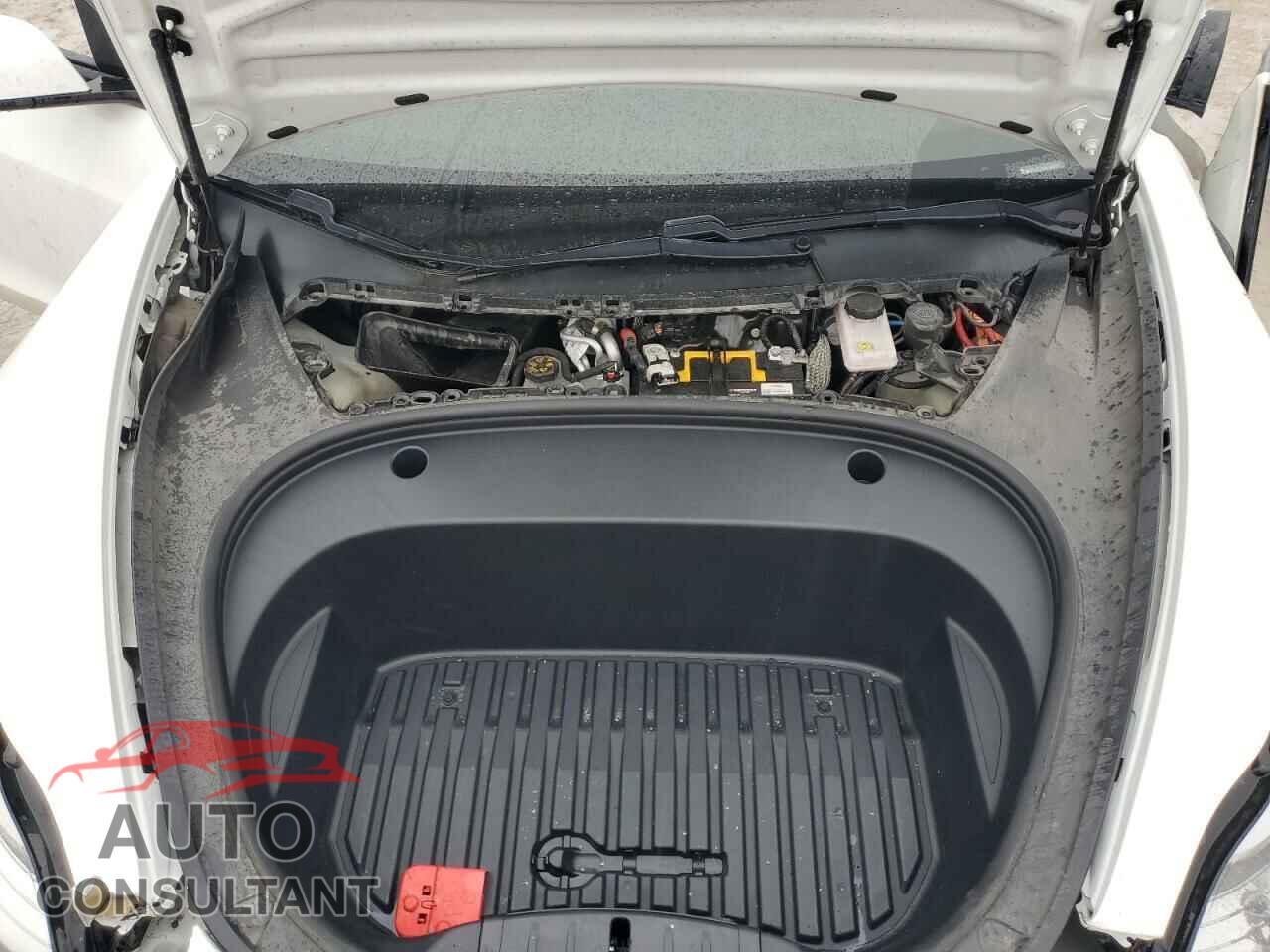 TESLA MODEL 3 2021 - 5YJ3E1EA6MF858800