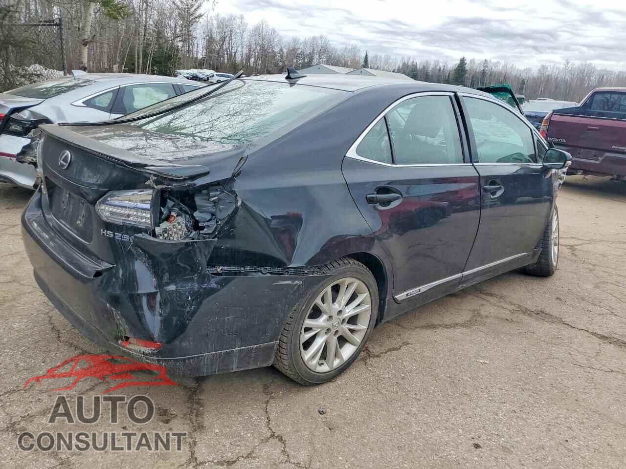 LEXUS HS 2010 - JTHBB1BA0A2029629