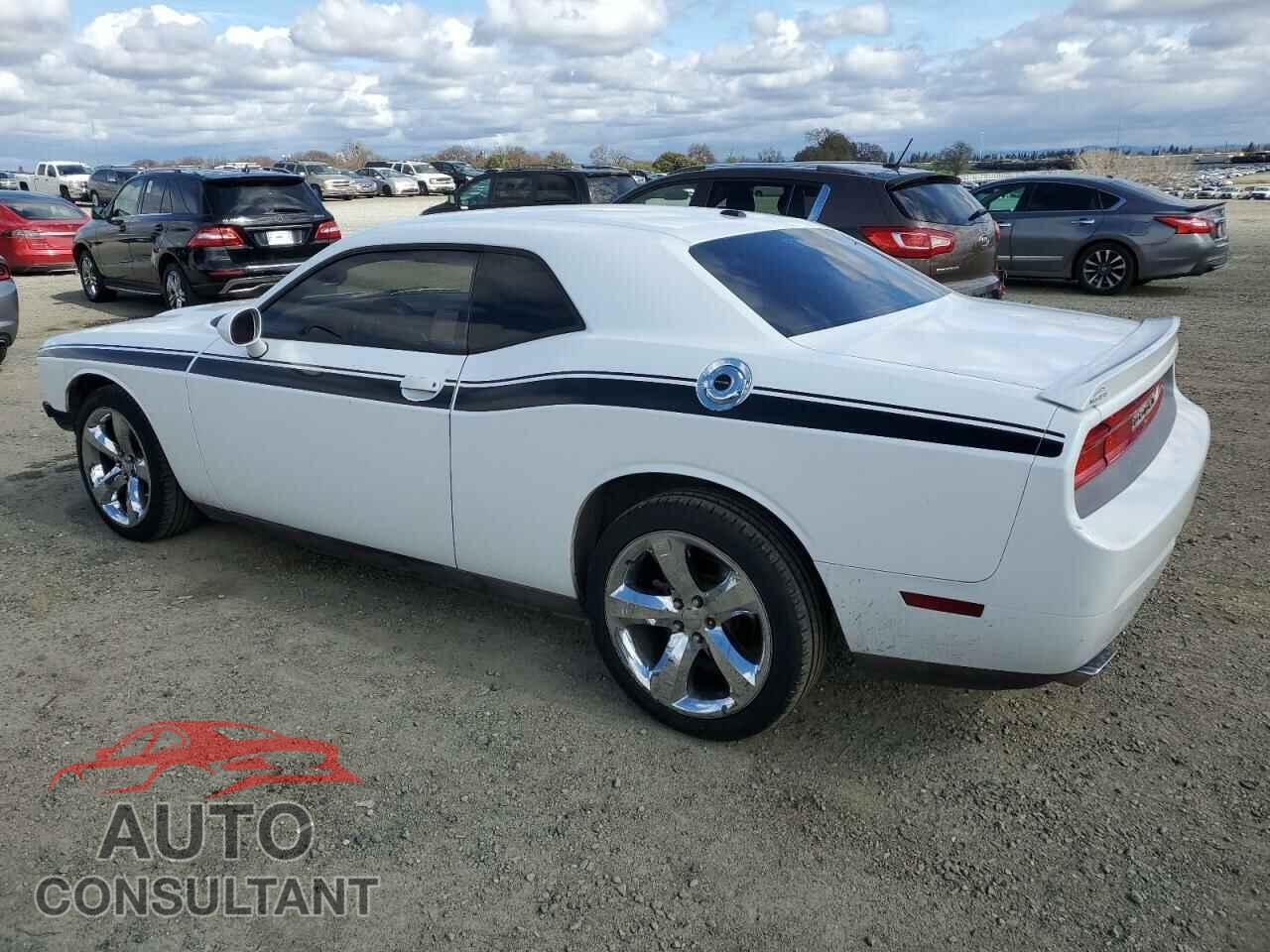 DODGE CHALLENGER 2013 - 2C3CDYAG4DH649821