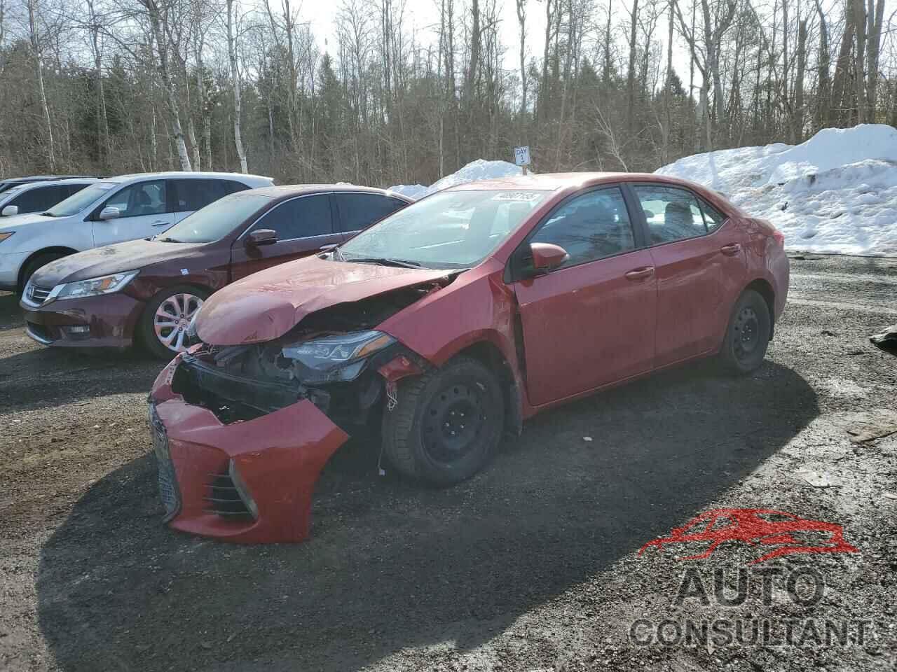 TOYOTA COROLLA 2018 - 2T1BURHEXJC085874