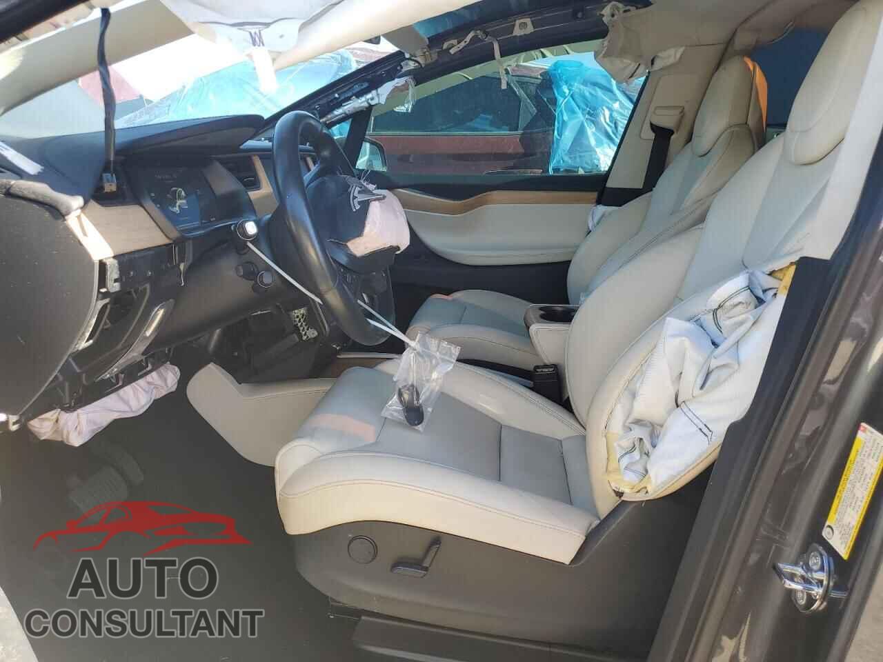 TESLA MODEL X 2019 - 5YJXCAE21KF162987