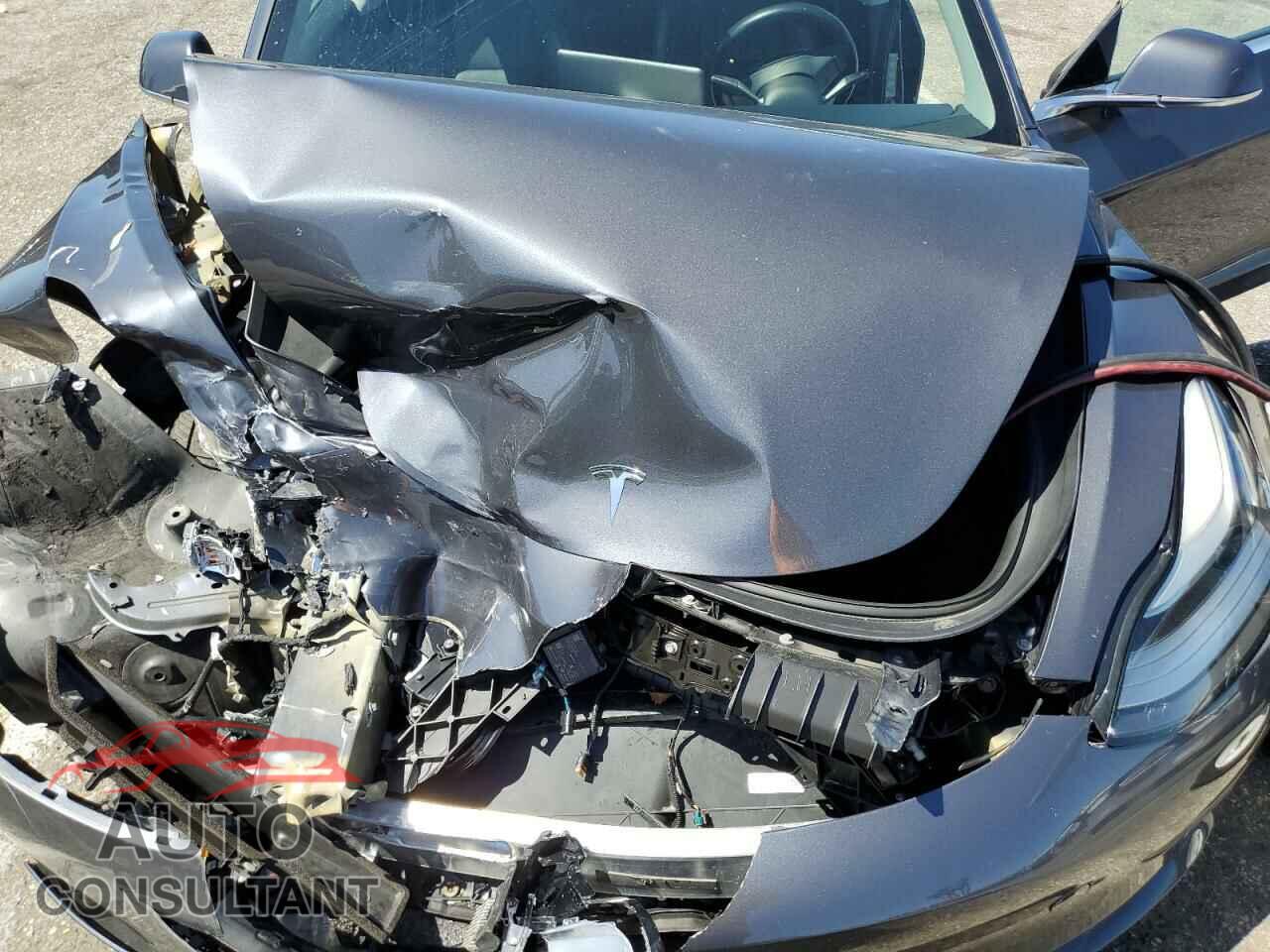 TESLA MODEL 3 2019 - 5YJ3E1EA5KF298703