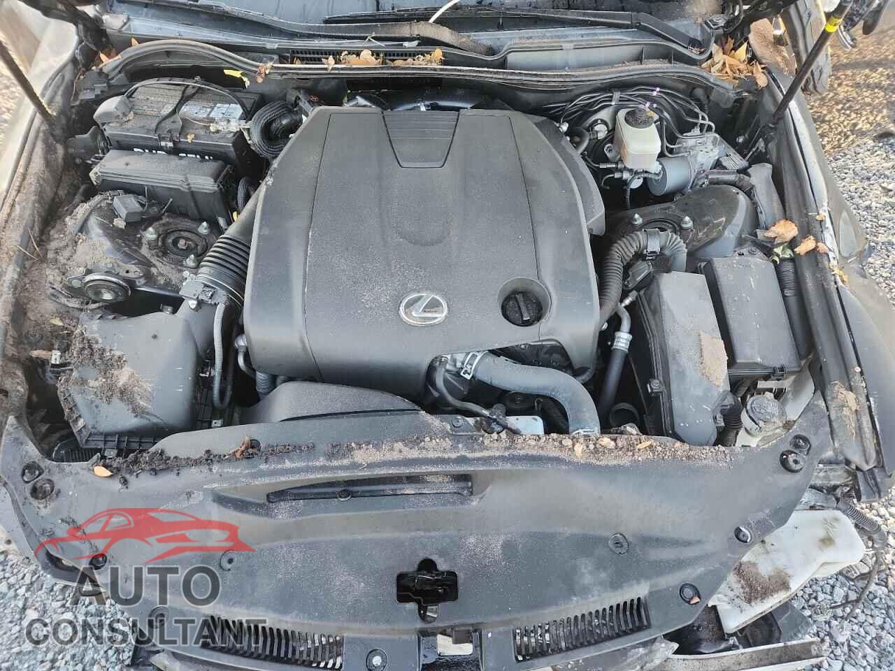 LEXUS IS 2015 - JTHBF1D24F5069969
