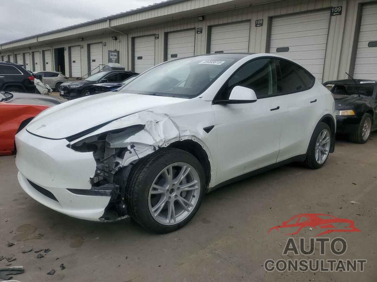 TESLA MODEL Y 2022 - 7SAYGDEE5NF571179