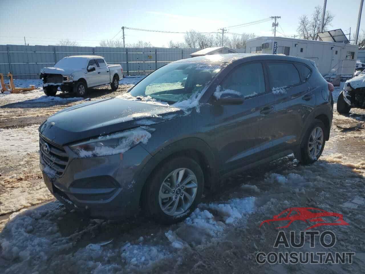 HYUNDAI TUCSON 2016 - KM8J23A42GU155861