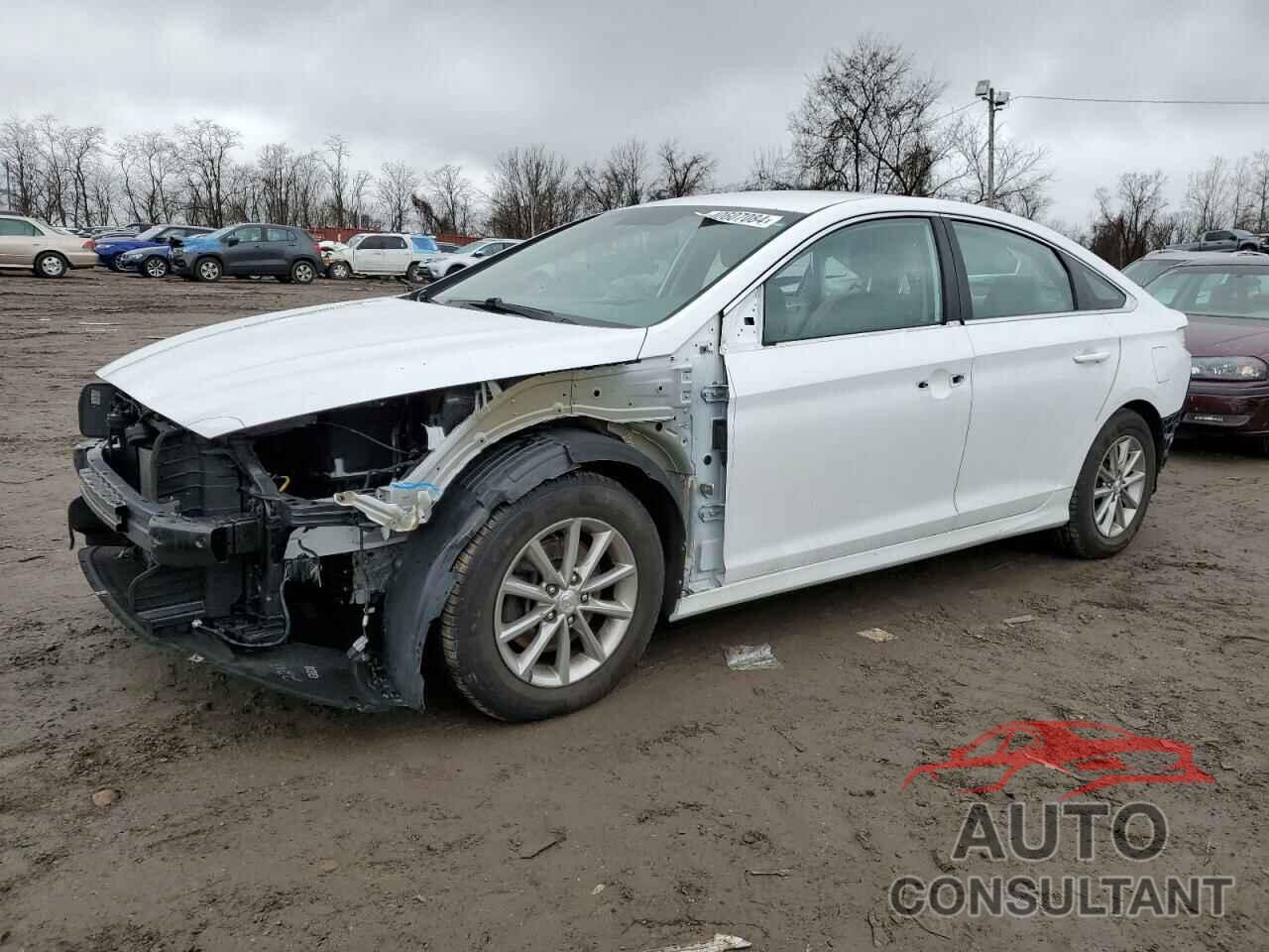 HYUNDAI SONATA 2019 - 5NPE24AF8KH780460