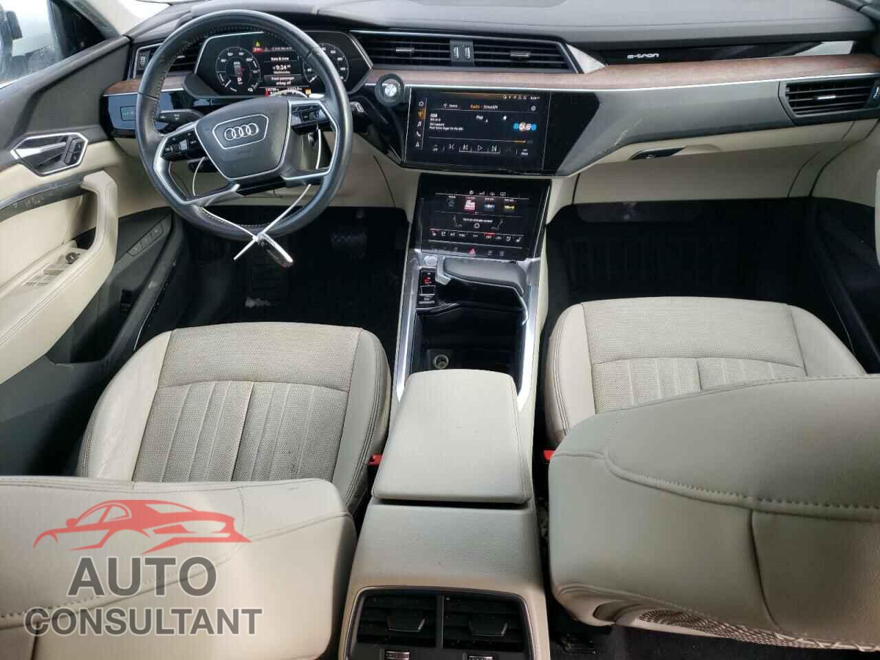 AUDI E-TRON 2019 - WA1LAAGE5KB008730