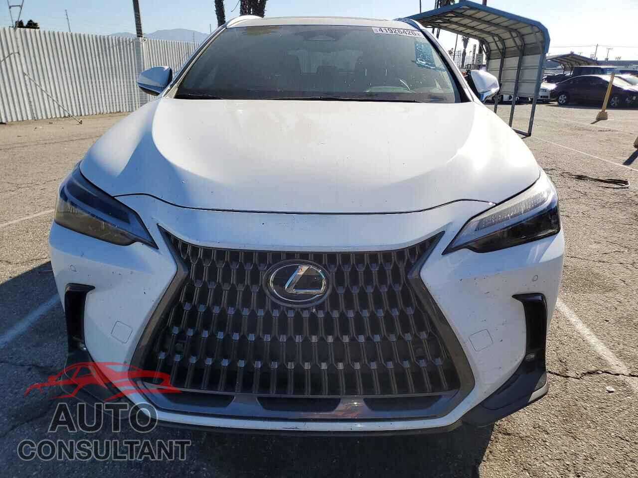 LEXUS UNKNOWN 2026 - 2T2GGCEZ9TC109355