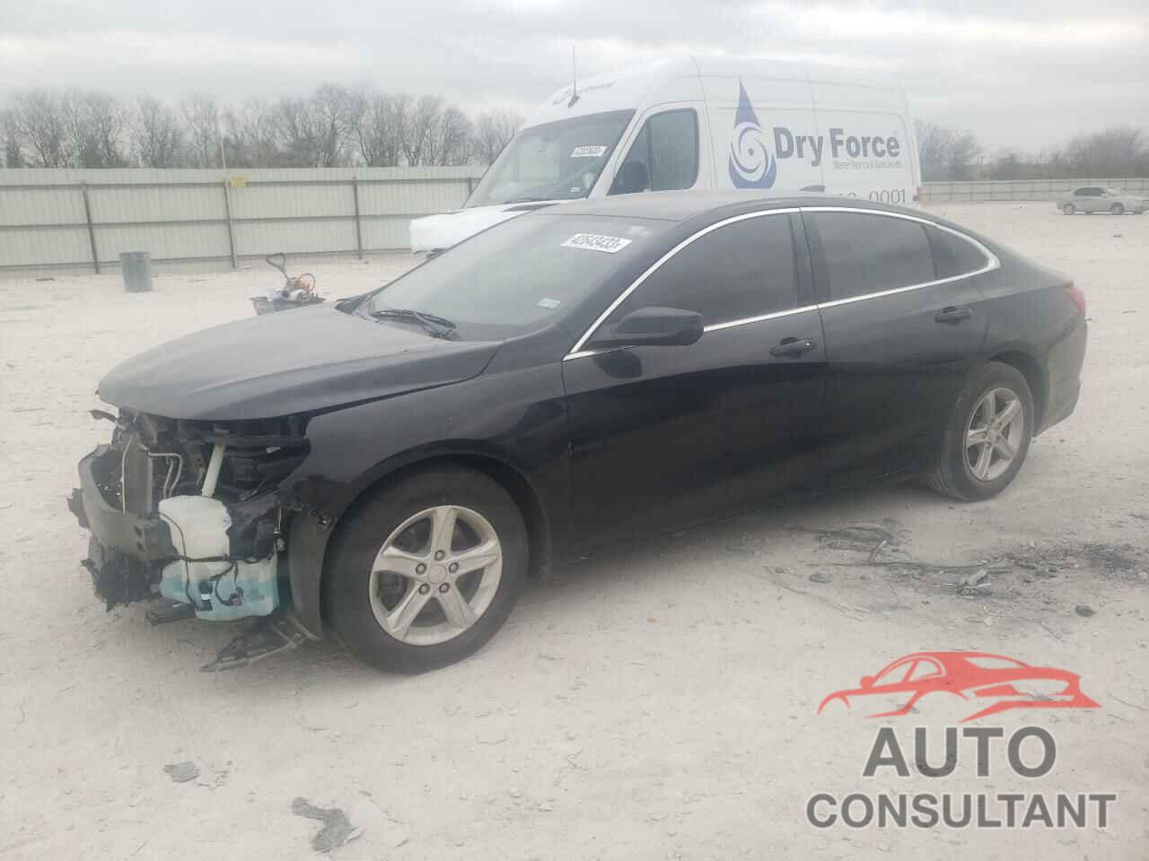 CHEVROLET MALIBU 2019 - 1G1ZB5ST3KF222756
