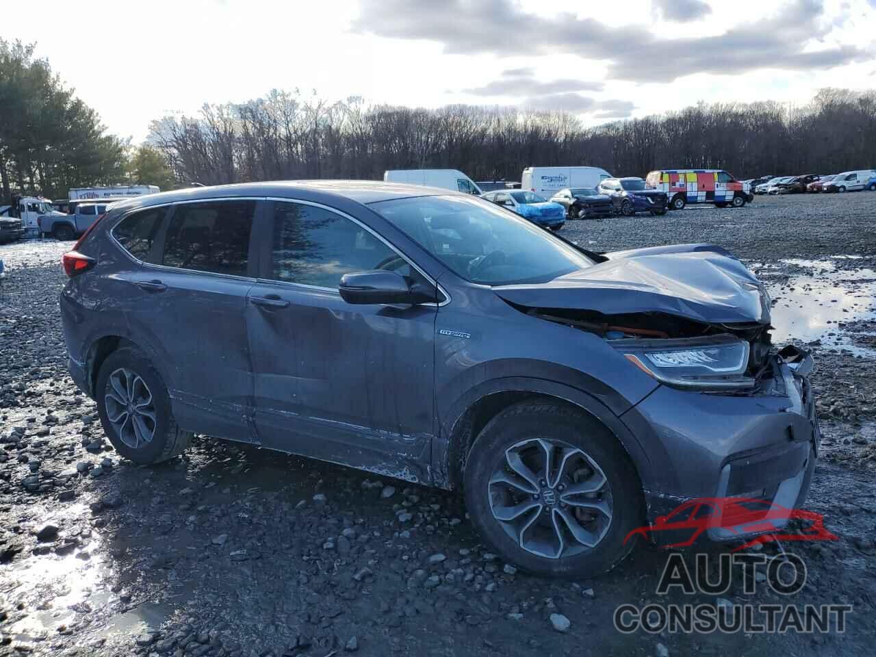 HONDA CRV 2022 - 5J6RT6H81NL008393