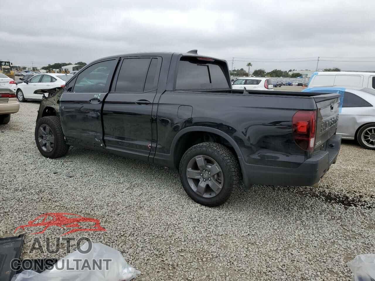 HONDA RIDGELINE 2024 - 5FPYK3F66RB025775