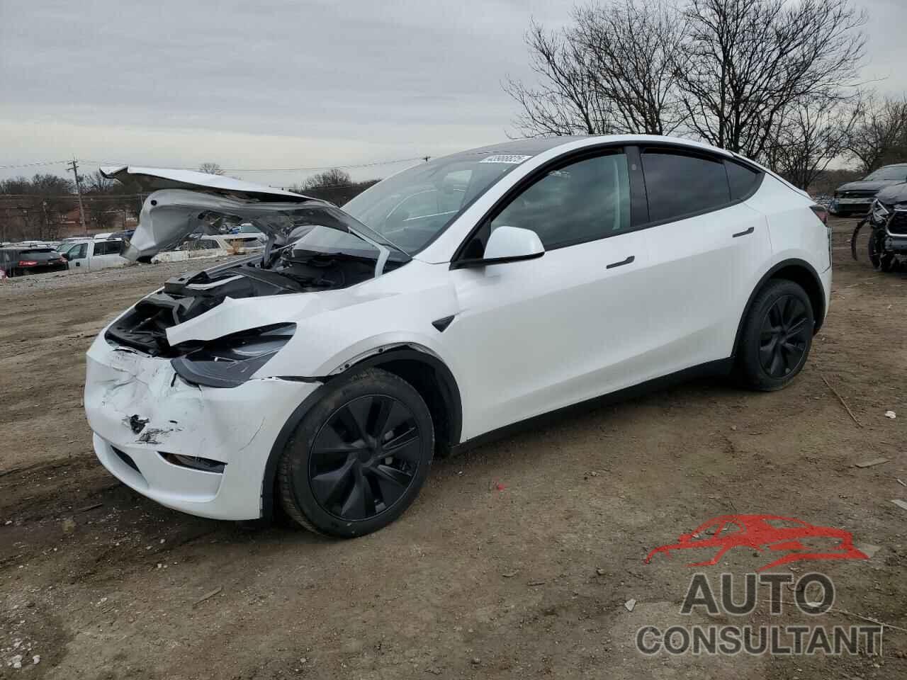 TESLA MODEL Y 2025 - 7SAYGDED1SF248427