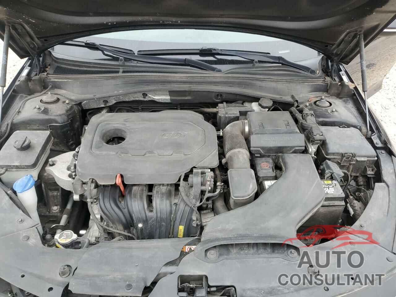 KIA OPTIMA 2019 - 5XXGT4L3XKG331351