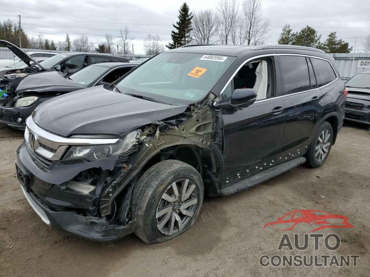 HONDA PILOT 2020 - 5FNYF6H79LB503960