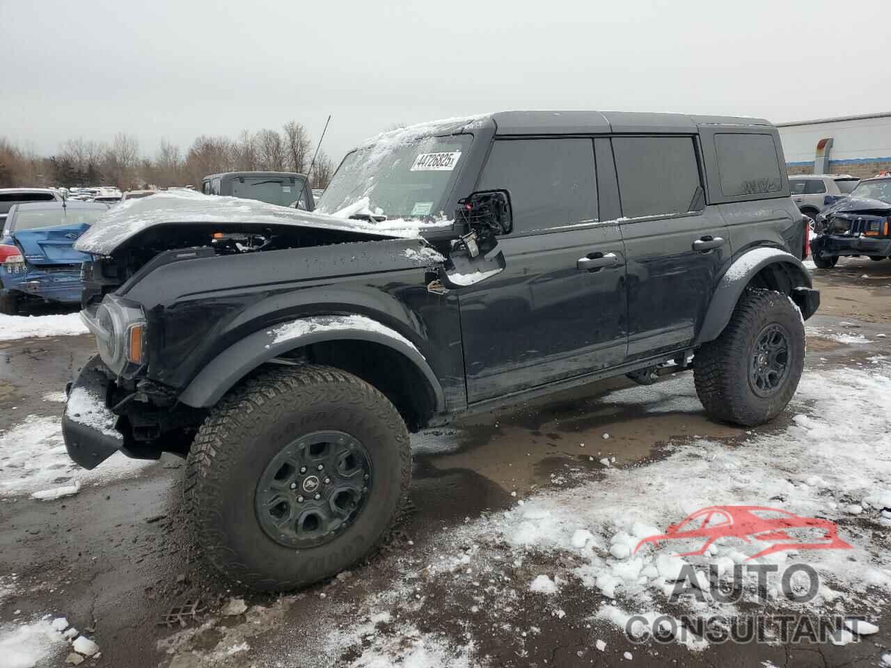 FORD BRONCO WIL 2024 - 1FMEE2BP2RLA72211
