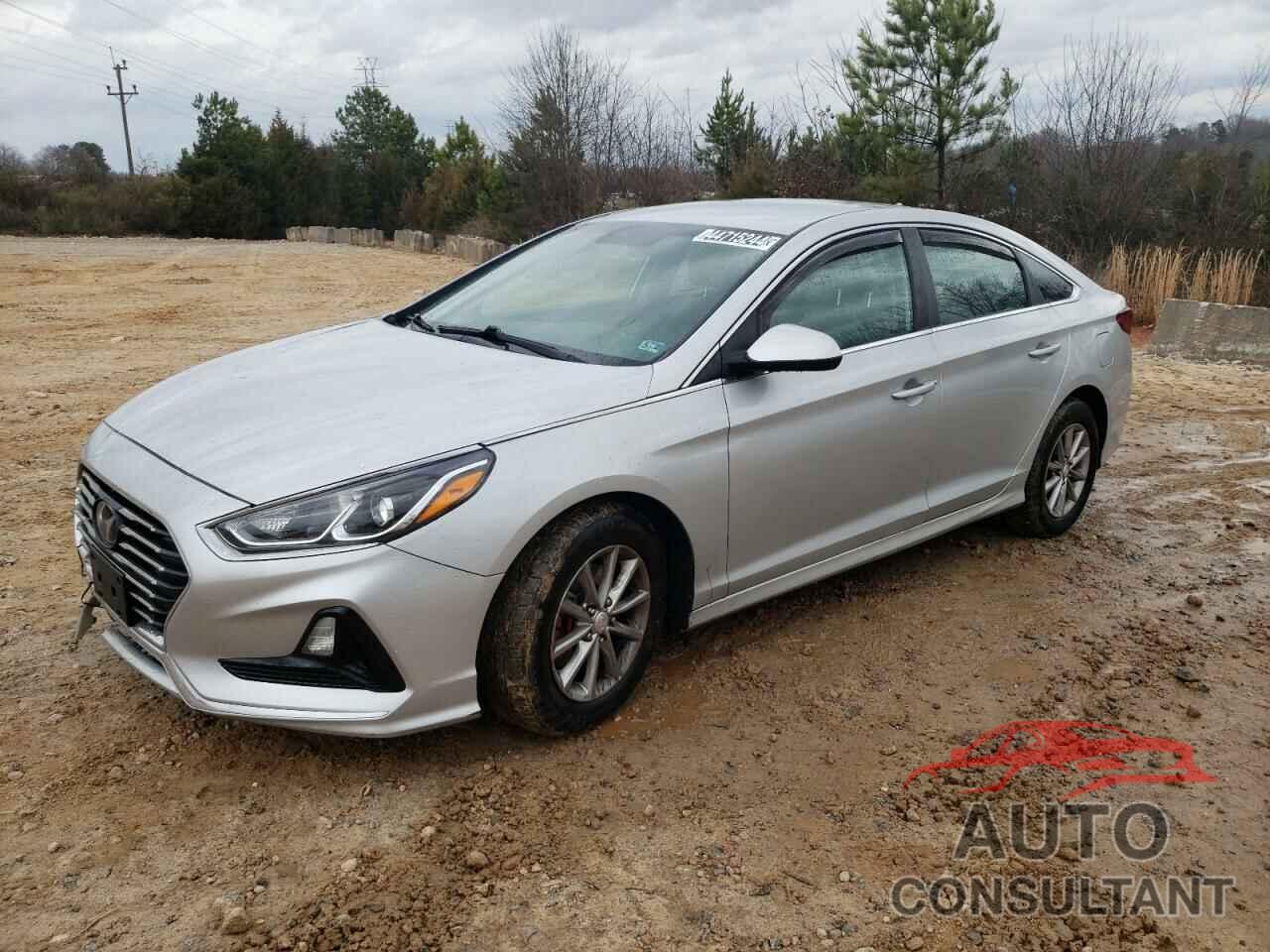 HYUNDAI SONATA 2019 - 5NPE24AF7KH775590