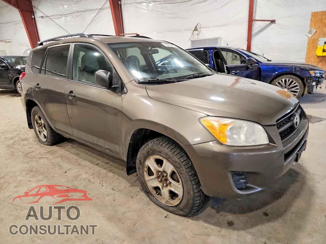 TOYOTA RAV4 2011 - 2T3BF4DV4BW159638