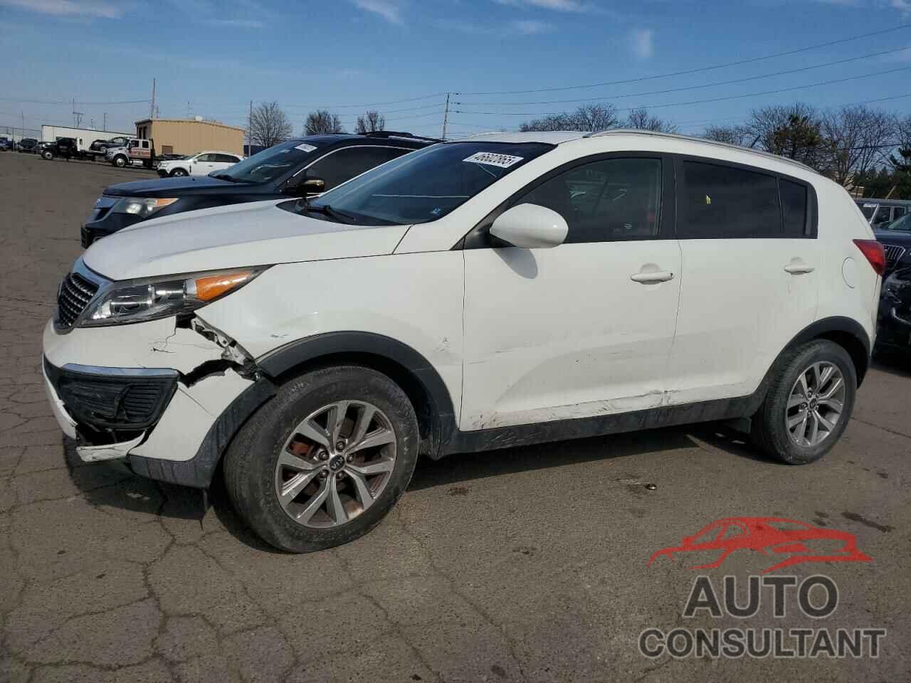 KIA SPORTAGE 2016 - KNDPB3AC5G7845138