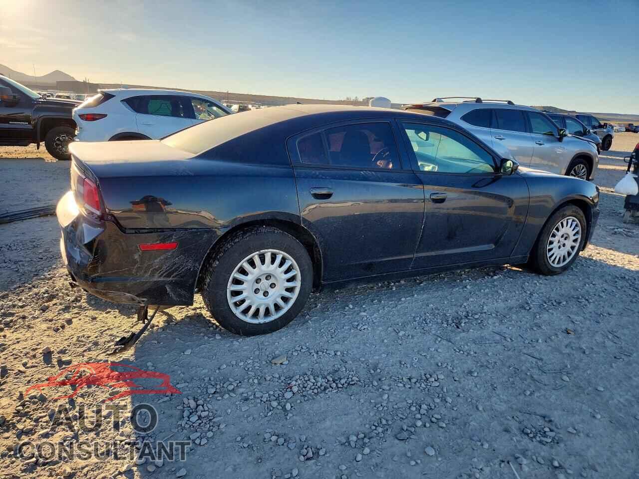 DODGE CHARGER 2014 - 2C3CDXKT5EH320259