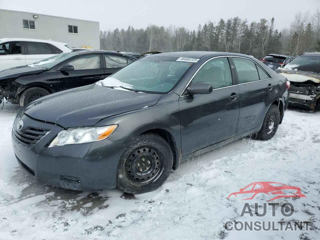 TOYOTA CAMRY 2009 - 4T1BE46K69U912305