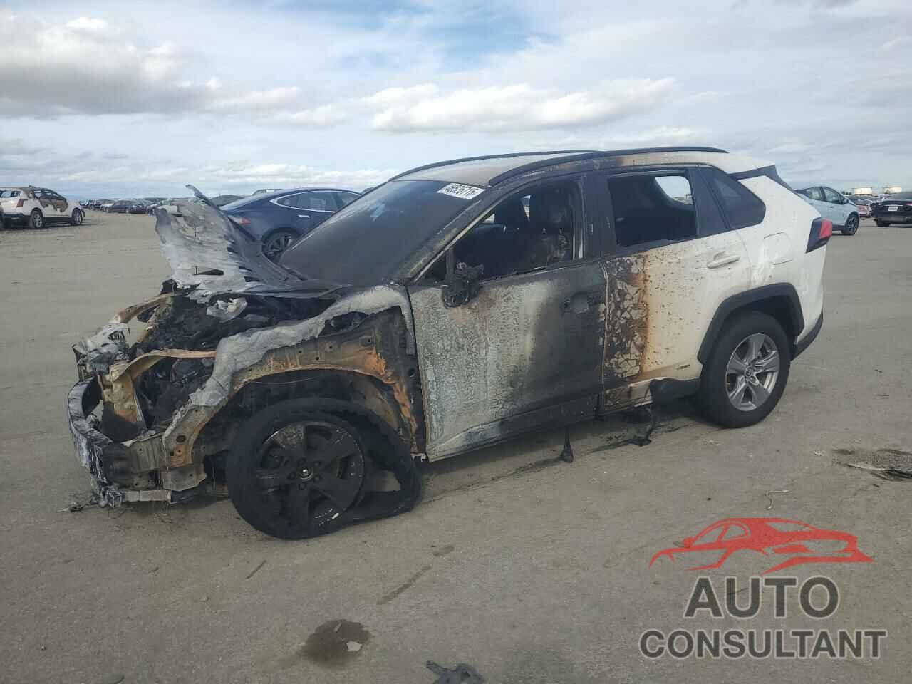 TOYOTA RAV4 2024 - 4T3MWRFVXRU152268