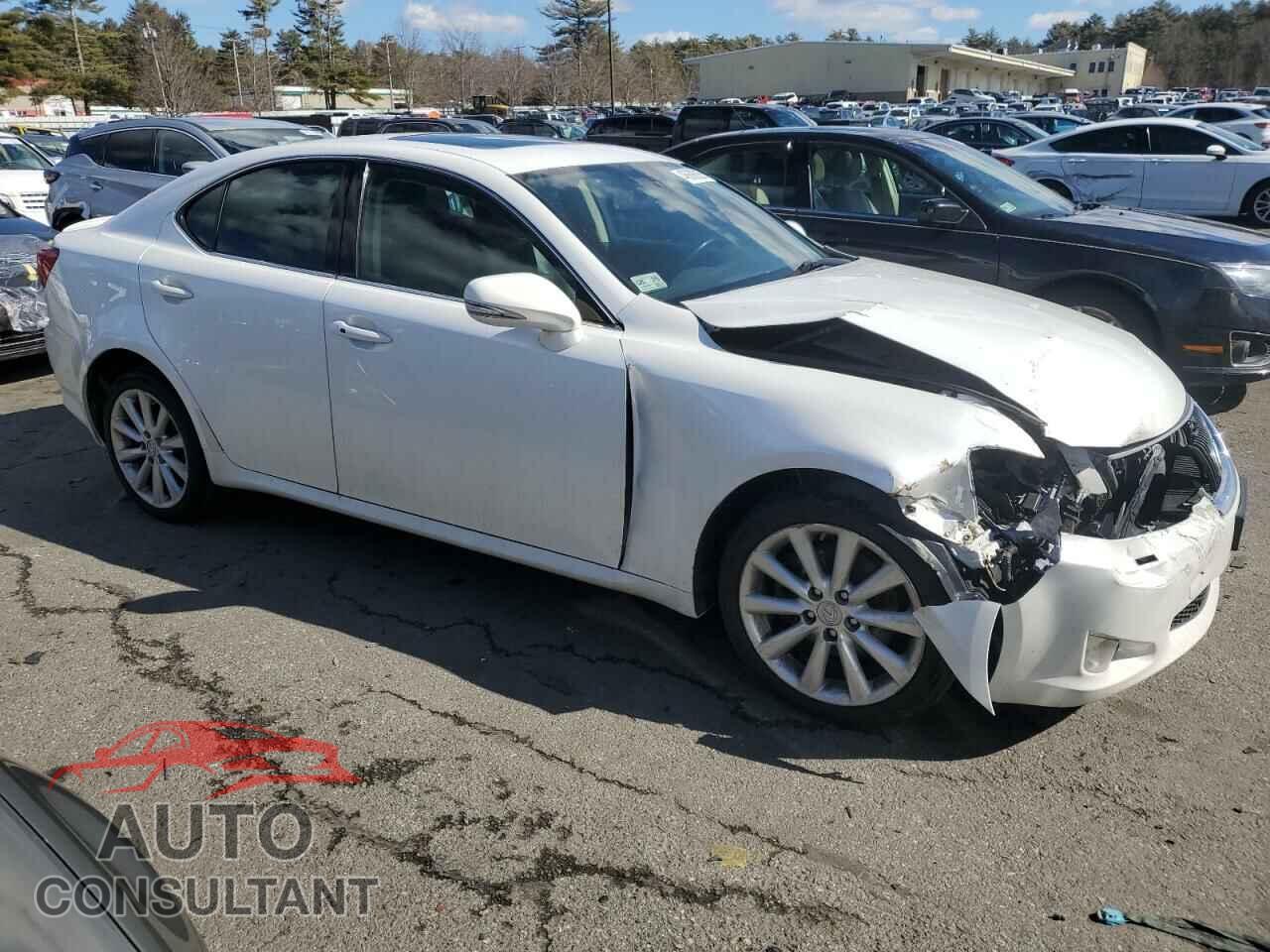 LEXUS IS 2010 - JTHCF5C26A5040088
