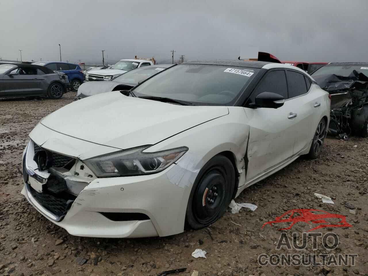 NISSAN MAXIMA 2016 - 1N4AA6AP9GC445416