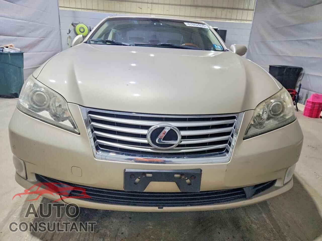 LEXUS ES350 2011 - JTHBK1EG2B2448213