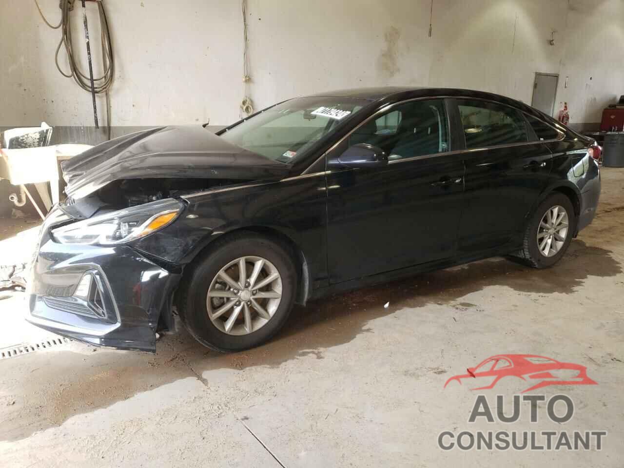 HYUNDAI SONATA 2019 - 5NPE24AF3KH737418