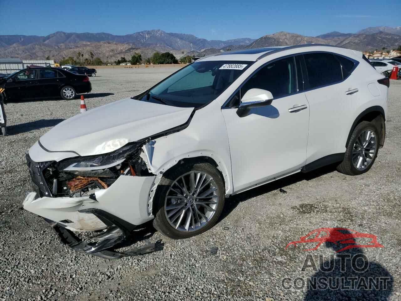 LEXUS NX 350H 2022 - 2T2GKCEZ7NC004590